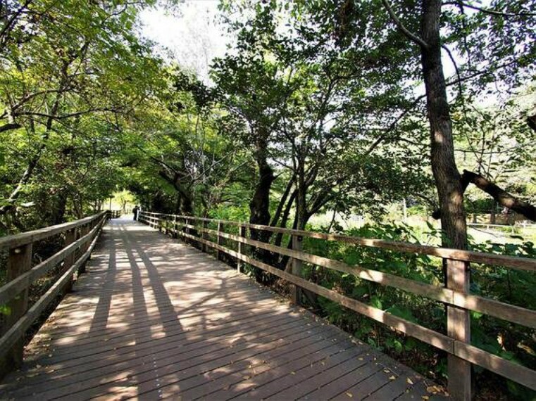 公園 石神井公園まで約2100m