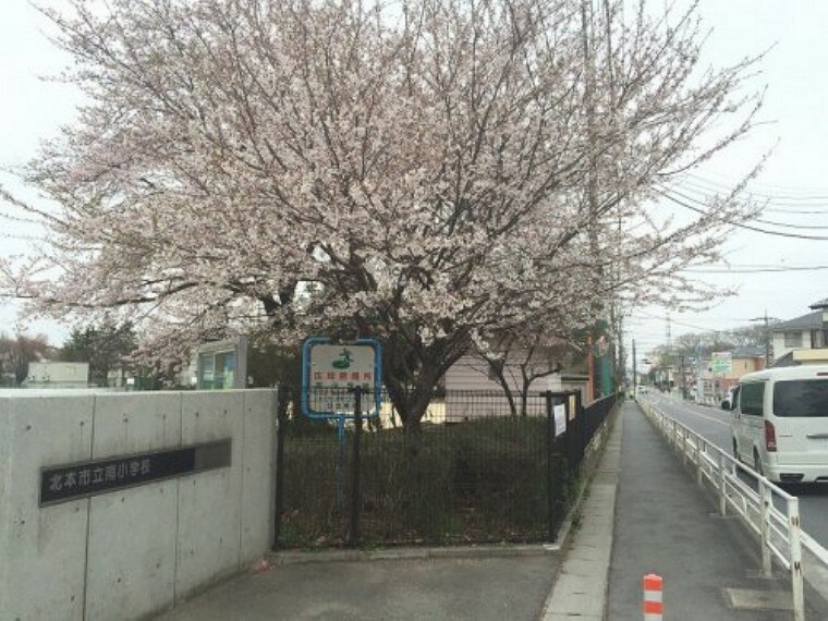 小学校 【小学校】北本市立 南小学校まで460m