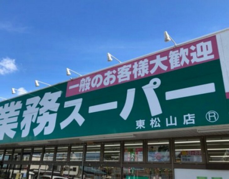 スーパー 【スーパー】業務スーパー東松山店まで224m