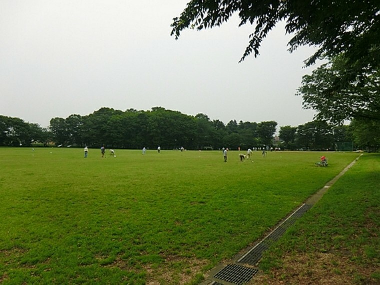 公園 特に遊ぶ遊具があるわけでは無いのですが 広大な公園