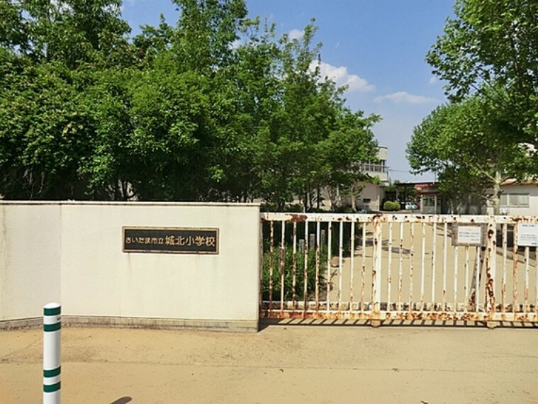 小学校 城北小学校　900m