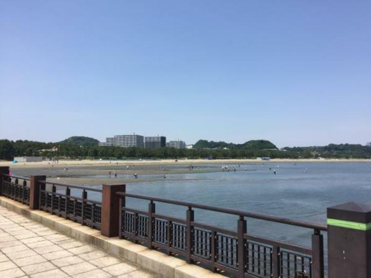 公園 海の公園（穏やかな波で小さなお子様連れでも安心して遊べる人工の砂浜。潮干狩りシーズンは大勢の人でにぎわう。）