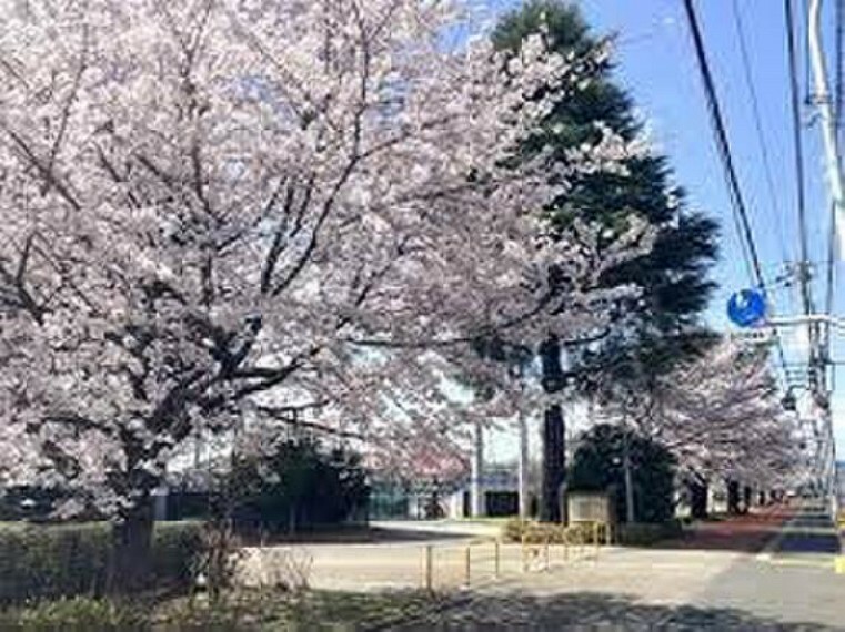 公園 昭島市立昭和公園まで約1210m