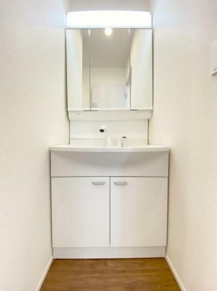洗面化粧台 独立して設けられた洗面台。シャワー水栓付きで使いやすさがあります。