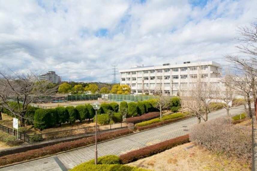 中学校 多摩市立青陵中学校まで約1000m