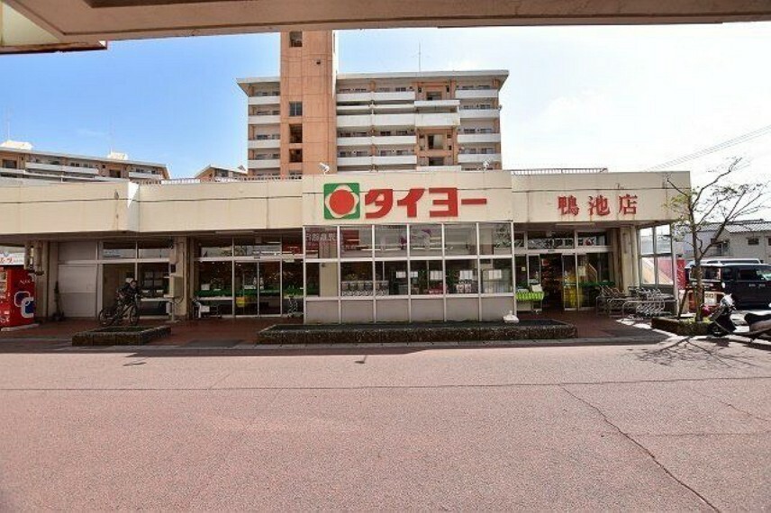 スーパー タイヨー鴨池店【タイヨー鴨池店】は、鹿児島市鴨池新町28に位置する鴨池フェリー入口交差点近くのスーパーです。取扱品目は主に「生鮮食品・日配品・一般食品 ・日用雑貨・お酒」です。駐車場があります。