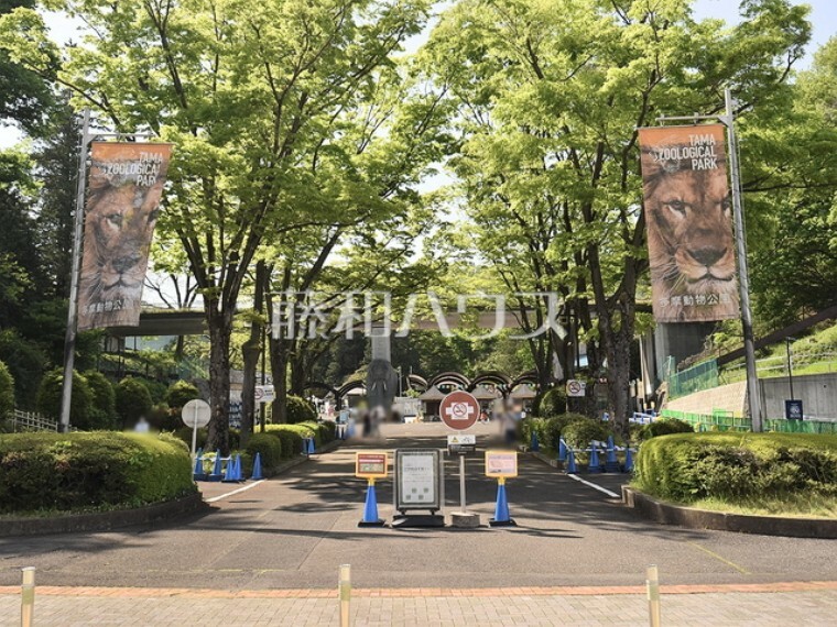 公園 多摩動物公園