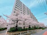 The目黒桜レジデンス