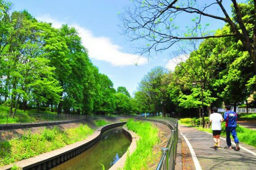 善福寺川緑地