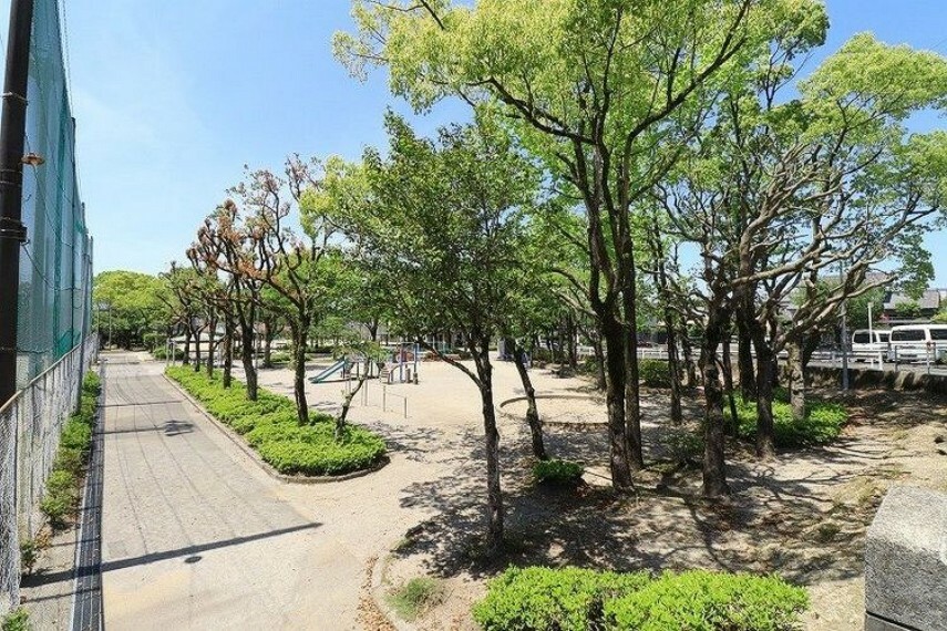 伊敷団地中央公園伊敷団地中央公園