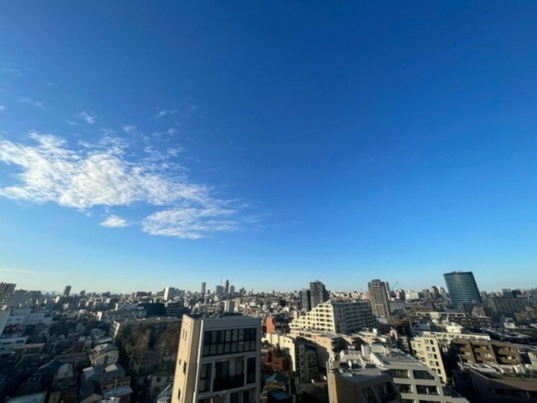眺望 周辺は高い建物がなく青い空が遠くまで広がります。