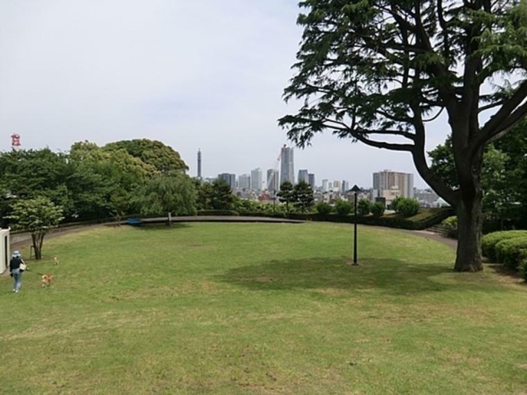 浅間台みはらし公園 横浜ランドマークタワーを中心とした高層ビル群を一望できる夜景スポットとしても有名な公園