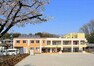 幼稚園・保育園 【保育園】わらべ保育園まで1011m