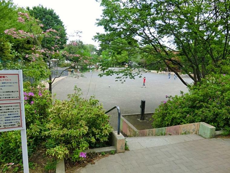 公園 下田町4丁目公園（下田小学校校庭と「松の川緑道」に面する緑豊かな公園。遊水池の機能をもっています。）