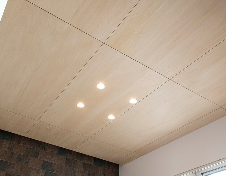 居間・リビング シナ合板（2号棟）  リビングの天井には木目が美しいシナ合板を採用。ナチュラルで心地よい空間を演出します。