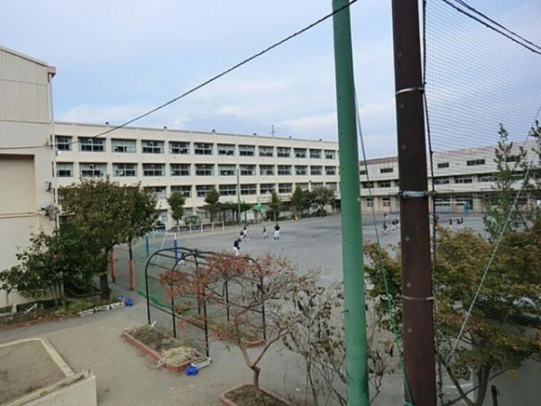小学校 横浜市立坂本小学校まで約740m