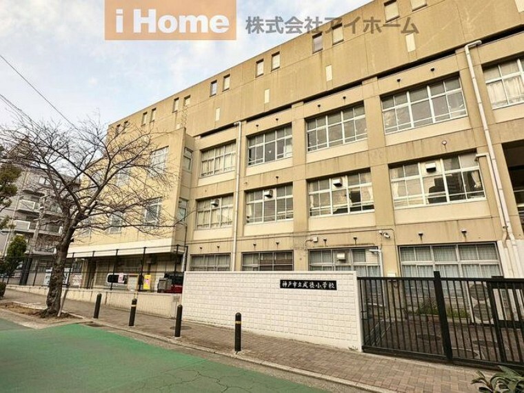 小学校 神戸市立成徳小学校　徒歩9分（476m）
