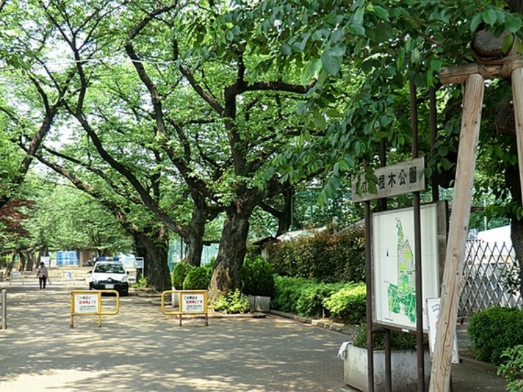 公園 羽根木公園