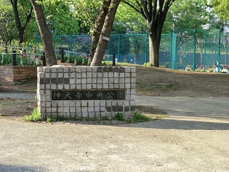 公園 神大寺中央公園 屋内で遊べるログハウスがあるので雨の日でも安心。暑い日には、水遊びもできます。