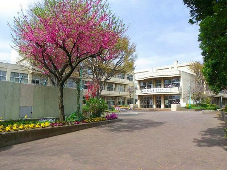 小学校 若草小学校