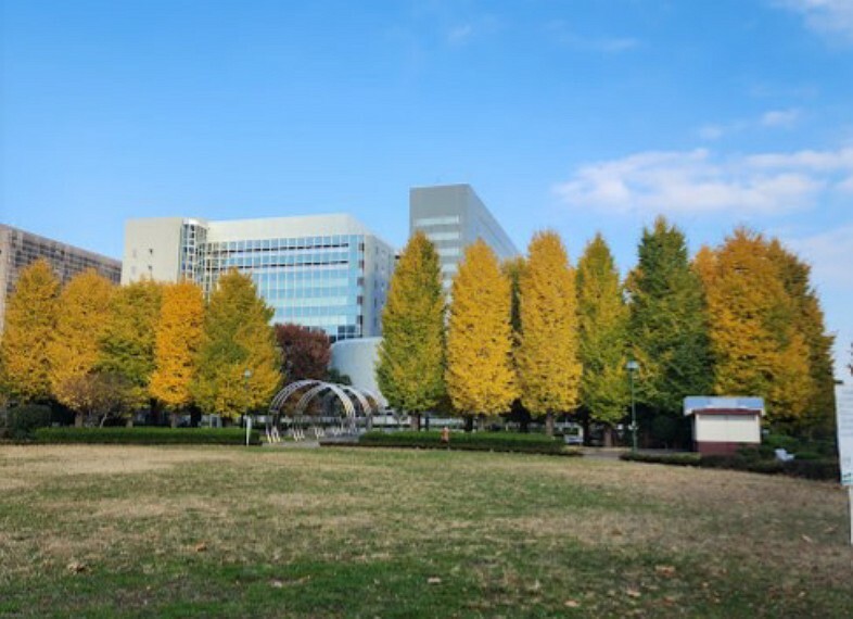 公園 すずかけ公園まで約500m