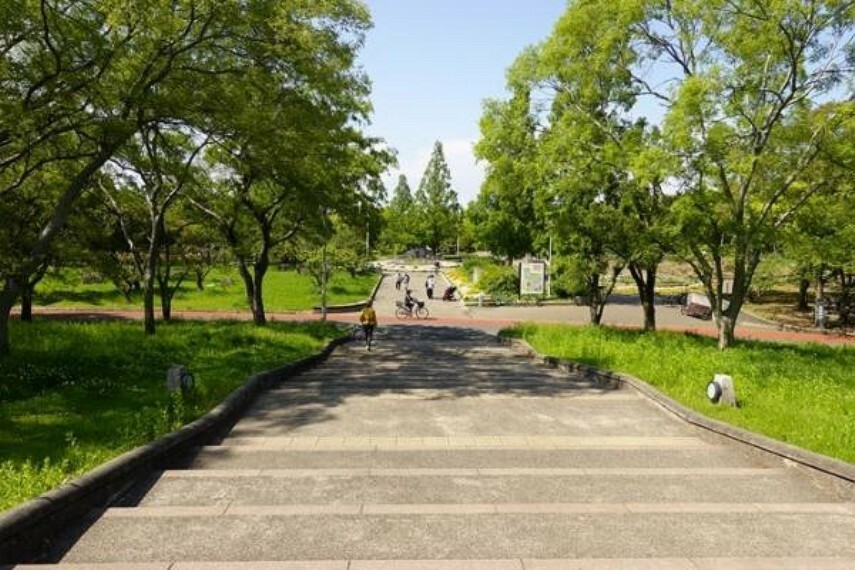 公園 久宝寺緑地