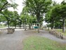 公園 あかしあの森公園