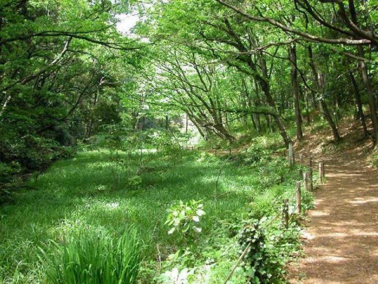 公園 上和田野鳥の森