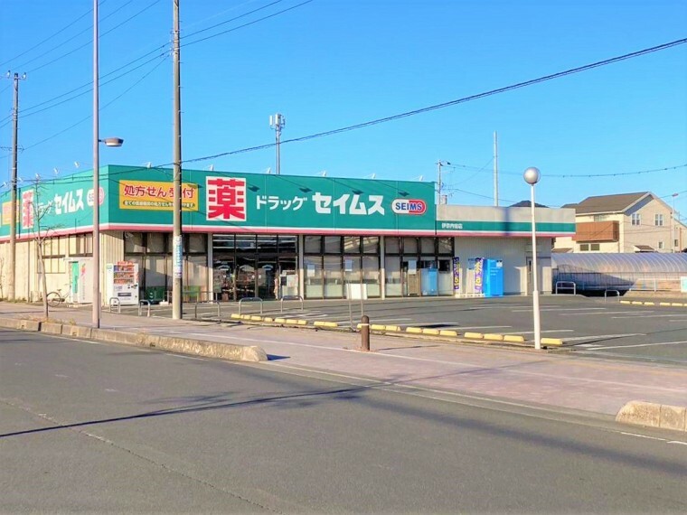 ドラッグストア セイムス伊奈内宿店