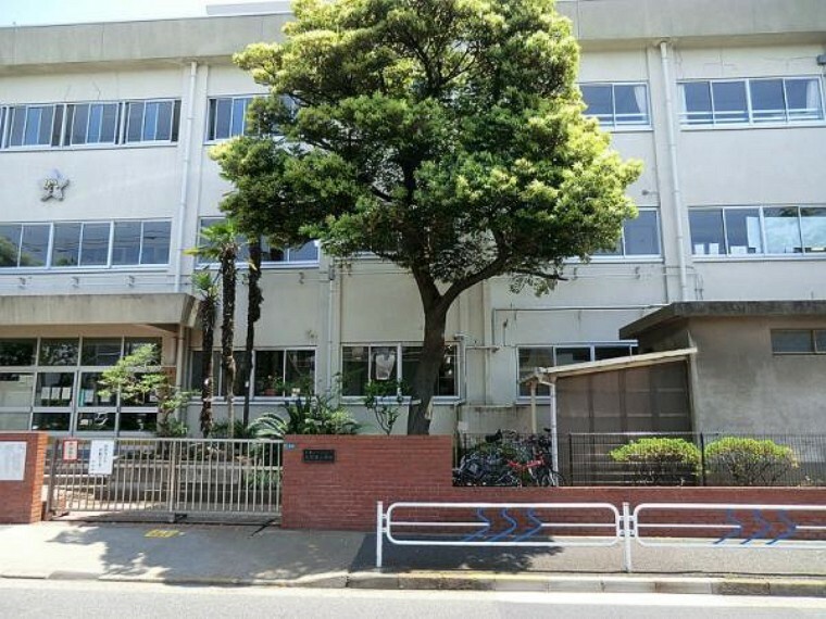 小学校 江戸川区立大杉東小学校　602m