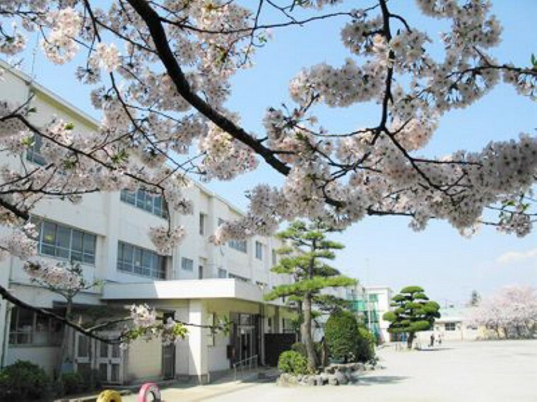 小学校 茅ヶ崎市立鶴嶺小学校 徒歩9分。