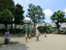 周辺環境 周辺環境:浜田山東公園