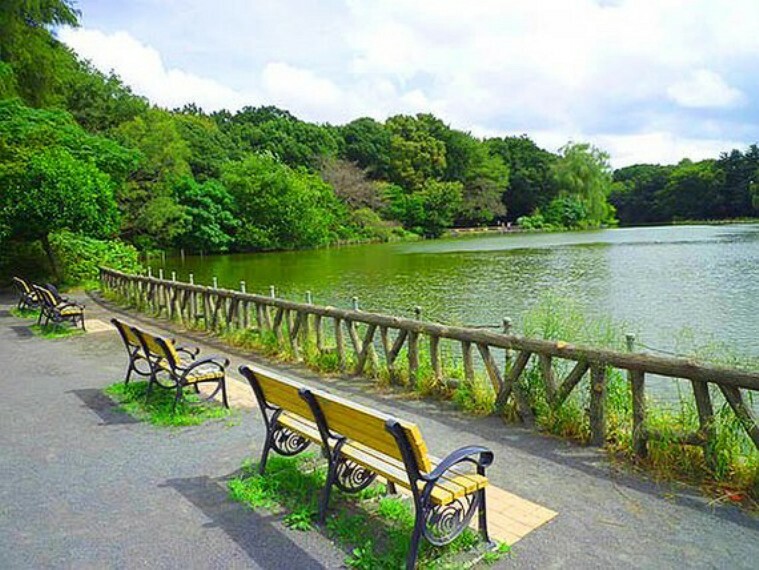 公園 善福寺公園