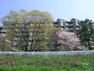 外観写真 パレ武庫川プルミエール2の外観（西側「武庫川」から）