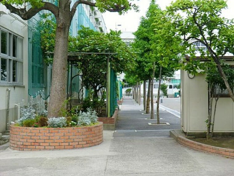 小学校 江戸川区立江戸川小学校　500m