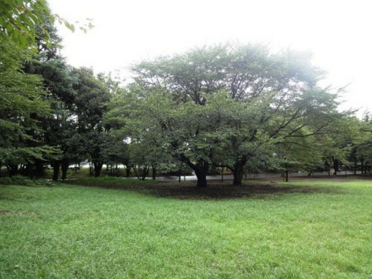 公園 【公園】鶴間公園まで1275m