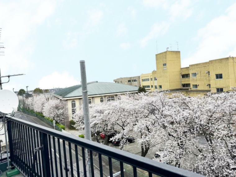 現況写真 春にはきれいな桜を望む事が出来ます