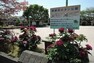 公園 東越谷ボタン公園（約150平方メートル）は5月に、赤や白、ピンクなど色鮮やかな大輪のボタン（8種類・150株）が咲きます。