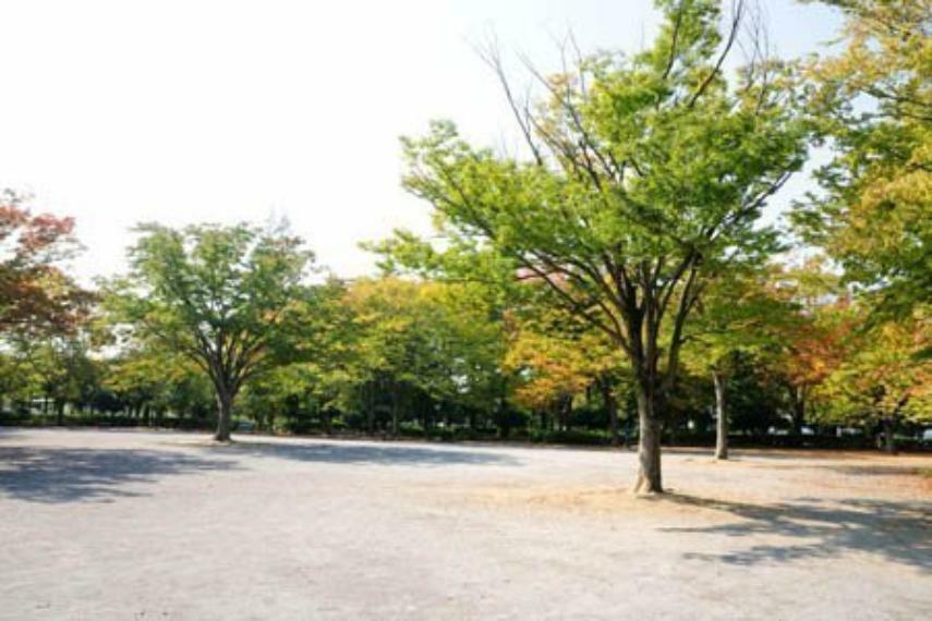 公園 松戸中央公園