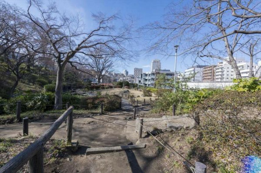 公園 文京区立関口台公園