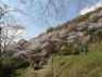 公園 枚岡公園