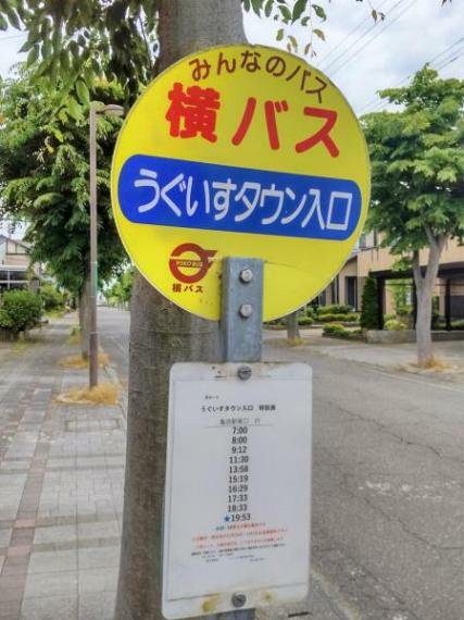【バス】前面道路に横越地区住民バスが通っています。うぐいすタウン入り口停留所まで約50m（徒歩1分）です。亀田駅やプラント5周辺までバスで行くことができます。