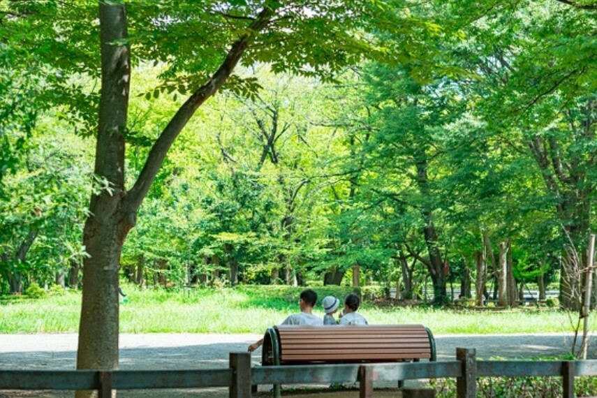 公園 世田谷公園