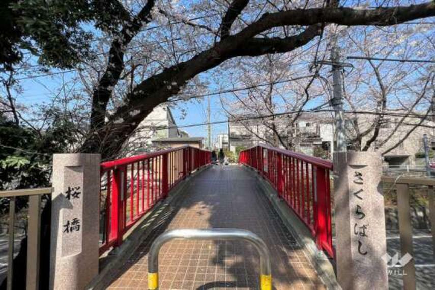 現況写真 桜の名所、桜坂から東に徒歩1分。閑静な低層住宅街。