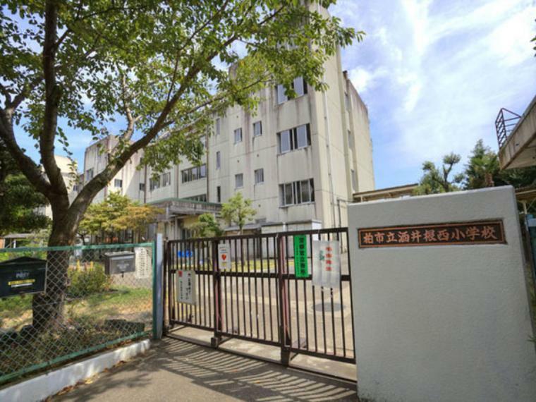 小学校 柏市立酒井根西小学校