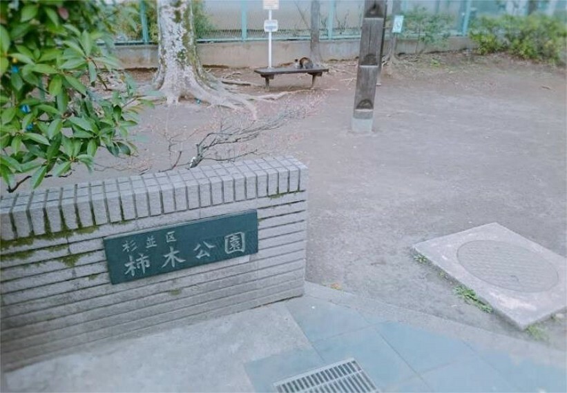 公園 柿木公園