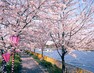 公園 毛馬桜ノ宮公園