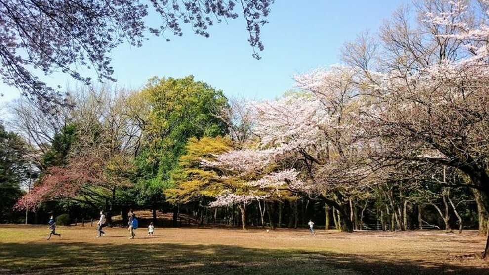 公園 城山公園 徒歩12分。