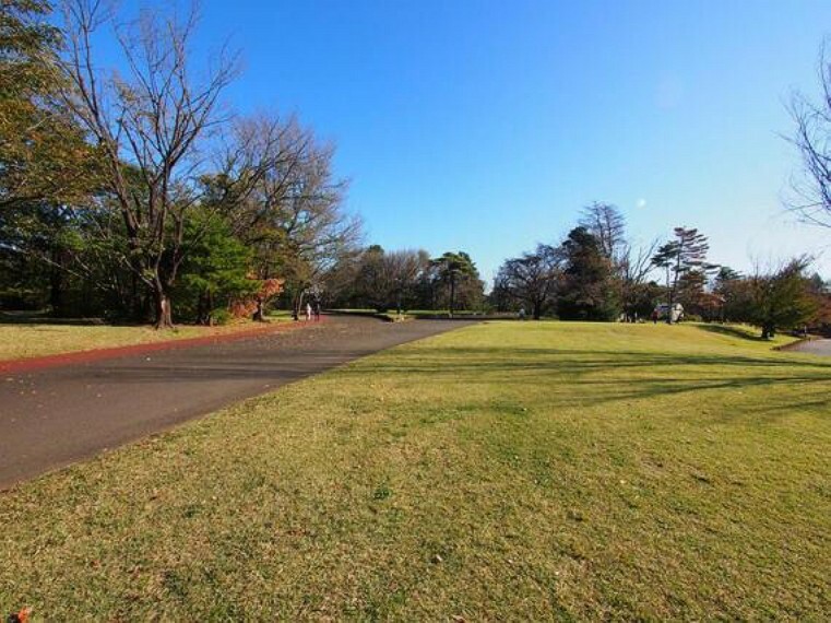 公園 大泉中央公園まで約2200m