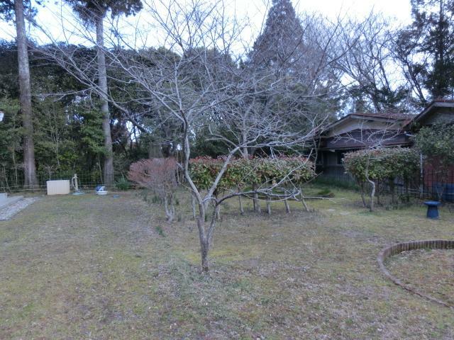 東側の庭の様子